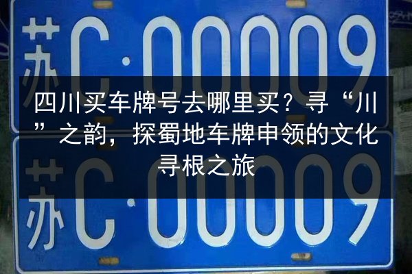 四川买车牌号去哪里买?寻“川”之韵,探蜀地车牌申领的文化寻根之旅 第2张 四川买车牌号去哪里买?寻“川”之韵,探蜀地车牌申领的文化寻根之旅 第2张