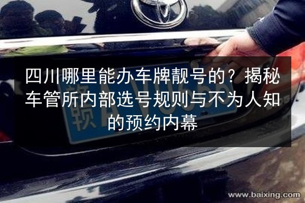 四川哪里能办车牌靓号的?揭秘车管所内部选号规则与不为人知的预约内幕 第3张 四川哪里能办车牌靓号的?揭秘车管所内部选号规则与不为人知的预约内幕 第3张