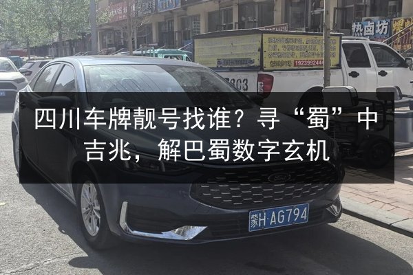 四川车牌靓号找谁？寻“蜀”中吉兆，解巴蜀数字玄机 第2张