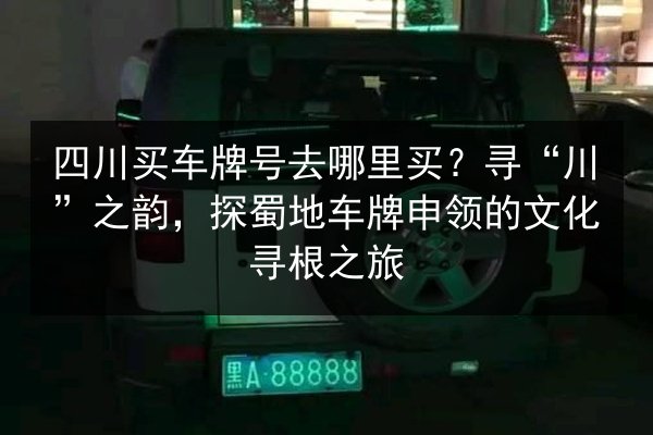 四川买车牌号去哪里买?寻“川”之韵,探蜀地车牌申领的文化寻根之旅 第3张 四川买车牌号去哪里买?寻“川”之韵,探蜀地车牌申领的文化寻根之旅 第3张