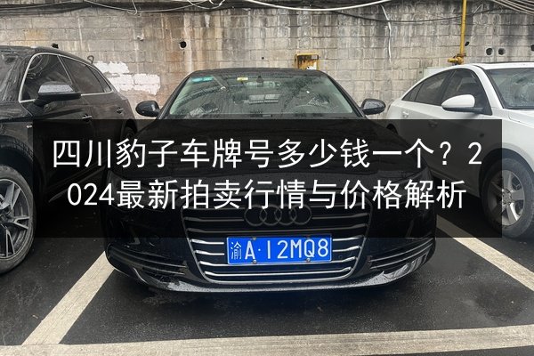 四川豹子车牌号多少钱一个？2024最新拍卖行情与价格解析