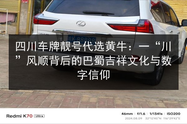四川车牌靓号代选黄牛:一“川”风顺背后的巴蜀吉祥文化与数字信仰 第2张 四川车牌靓号代选黄牛:一“川”风顺背后的巴蜀吉祥文化与数字信仰 第2张