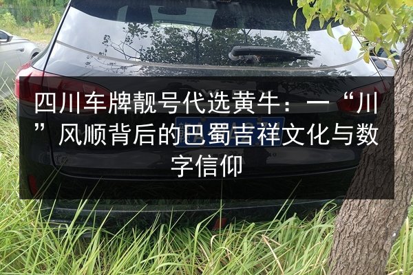 四川车牌靓号代选黄牛:一“川”风顺背后的巴蜀吉祥文化与数字信仰 第3张 四川车牌靓号代选黄牛:一“川”风顺背后的巴蜀吉祥文化与数字信仰 第3张