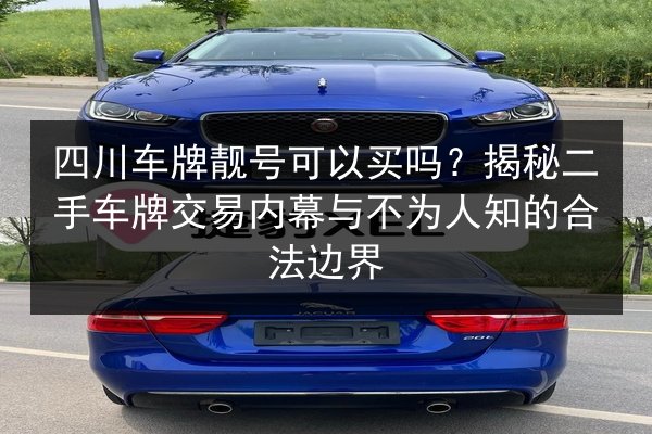四川车牌靓号可以买吗？揭秘二手车牌交易内幕与不为人知的合法边界 第2张
