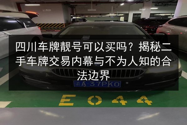 四川车牌靓号可以买吗？揭秘二手车牌交易内幕与不为人知的合法边界 第3张
