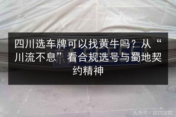 四川选车牌可以找黄牛吗？从“川流不息”看合规选号与蜀地契约精神 第2张