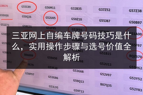 三亚网上自编车牌号码技巧是什么，实用操作步骤与选号价值全解析