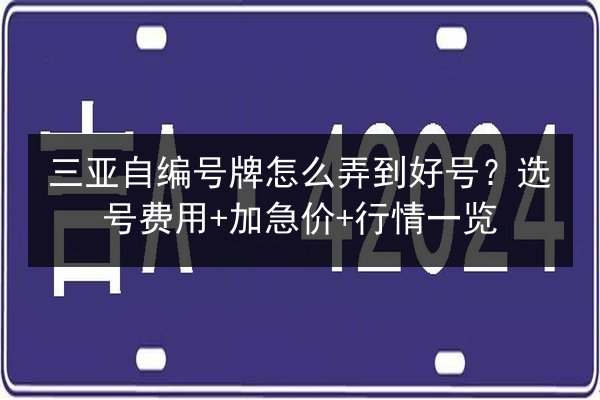 三亚自编号牌怎么弄到好号？选号费用+加急价+行情一览 第2张
