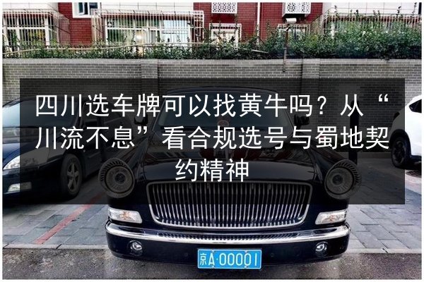 四川选车牌可以找黄牛吗？从“川流不息”看合规选号与蜀地契约精神 第3张