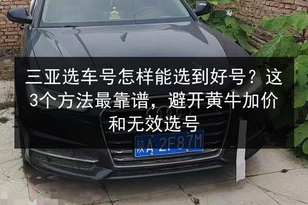 三亚选车号怎样能选到好号？这3个方法最靠谱，避开黄牛加价和无效选号 第2张