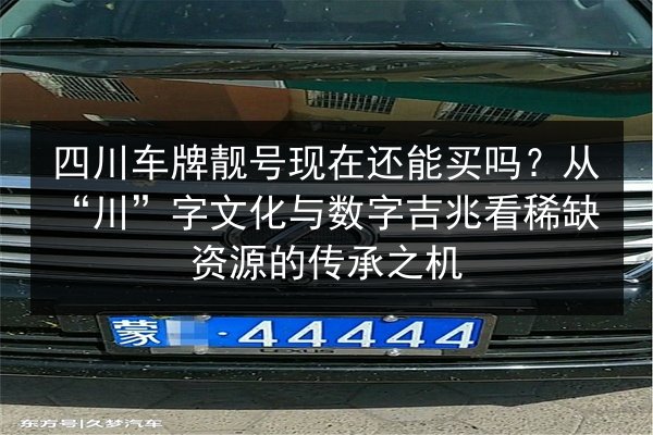 四川车牌靓号现在还能买吗？从“川”字文化与数字吉兆看稀缺资源的传承之机 第3张