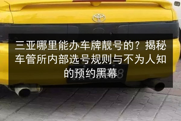 三亚哪里能办车牌靓号的？揭秘车管所内部选号规则与不为人知的预约黑幕 第2张