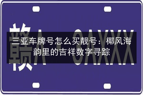 三亚车牌号怎么买靓号：椰风海韵里的吉祥数字寻踪