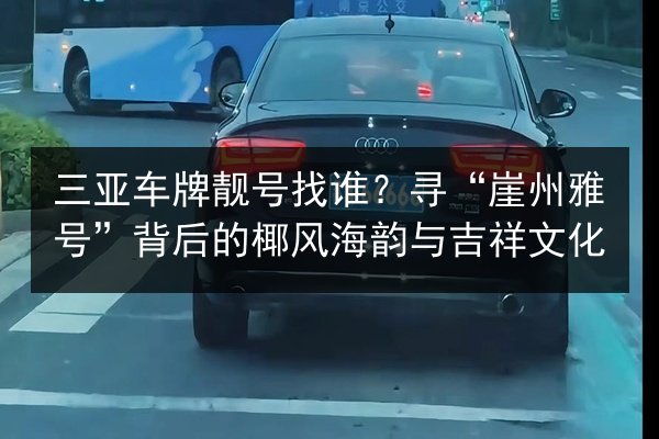 三亚车牌靓号找谁？寻“崖州雅号”背后的椰风海韵与吉祥文化 第1张