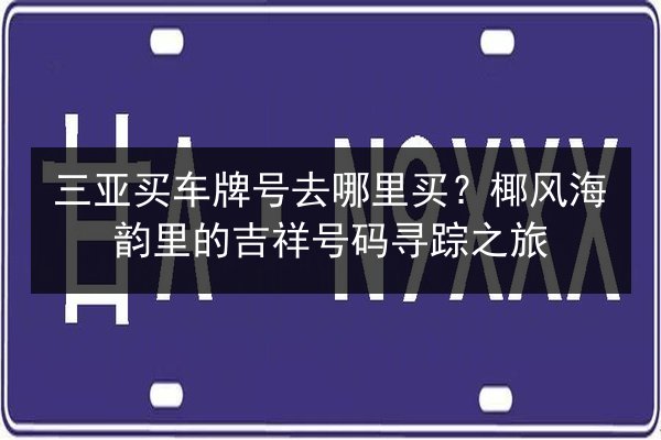 三亚买车牌号去哪里买？椰风海韵里的吉祥号码寻踪之旅 第2张