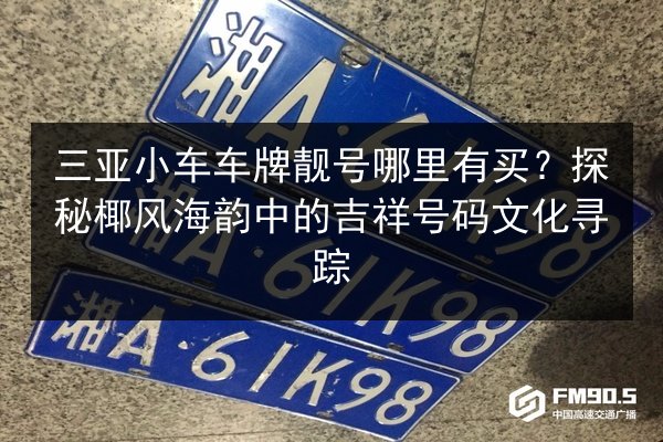 三亚小车车牌靓号哪里有买？探秘椰风海韵中的吉祥号码文化寻踪 第2张
