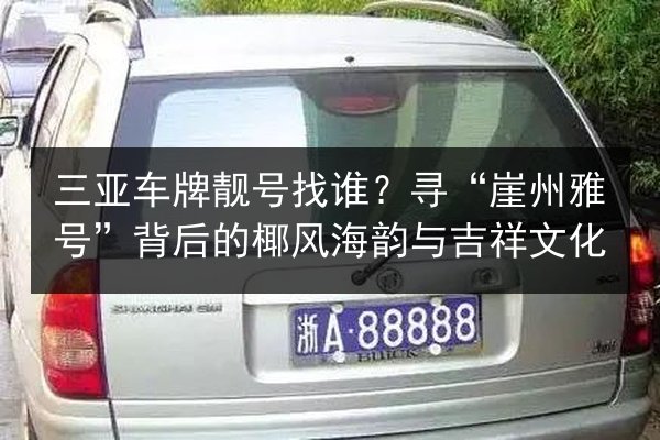 三亚车牌靓号找谁？寻“崖州雅号”背后的椰风海韵与吉祥文化 第2张