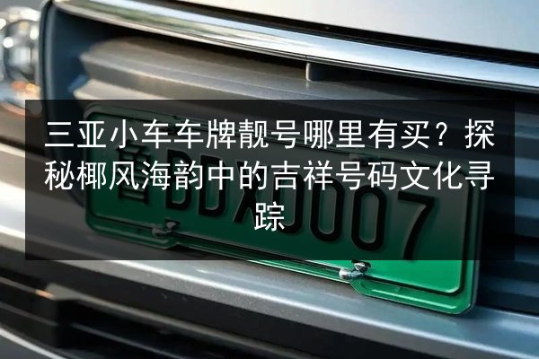 三亚小车车牌靓号哪里有买？探秘椰风海韵中的吉祥号码文化寻踪 第3张