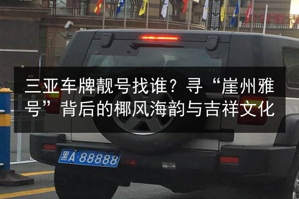 三亚车牌靓号找谁？寻“崖州雅号”背后的椰风海韵与吉祥文化 第3张