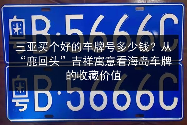 三亚买个好的车牌号多少钱?从“鹿回头”吉祥寓意看海岛车牌的收藏价值 第3张 三亚买个好的车牌号多少钱?从“鹿回头”吉祥寓意看海岛车牌的收藏价值 第3张
