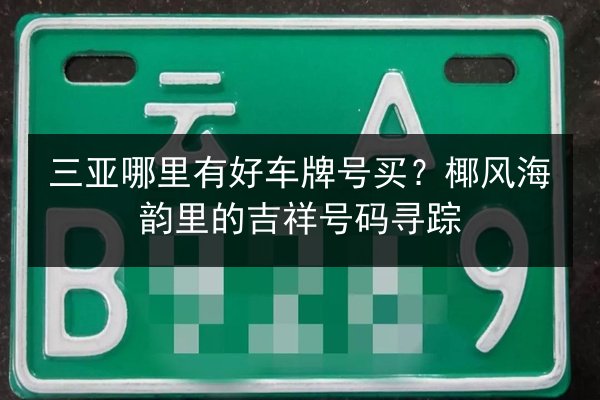 三亚哪里有好车牌号买?椰风海韵里的吉祥号码寻踪 第2张 三亚哪里有好车牌号买?椰风海韵里的吉祥号码寻踪 第2张