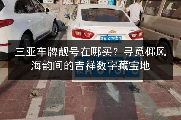 三亚车牌靓号在哪买?寻觅椰风海韵间的吉祥数字藏宝地 第2张 三亚车牌靓号在哪买?寻觅椰风海韵间的吉祥数字藏宝地 第2张