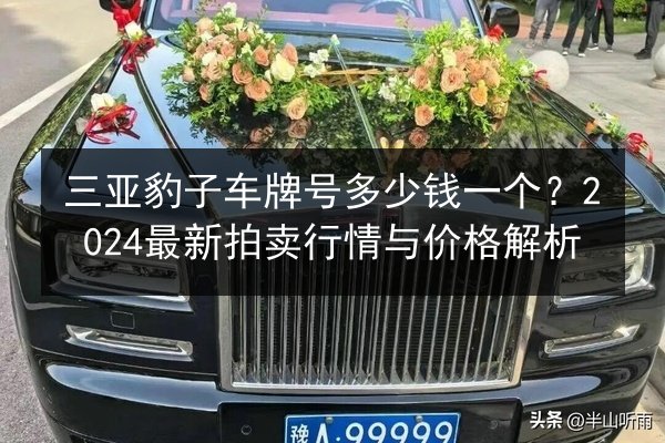 三亚豹子车牌号多少钱一个？2024最新拍卖行情与价格解析 第1张