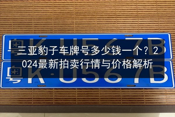 三亚豹子车牌号多少钱一个？2024最新拍卖行情与价格解析 第2张