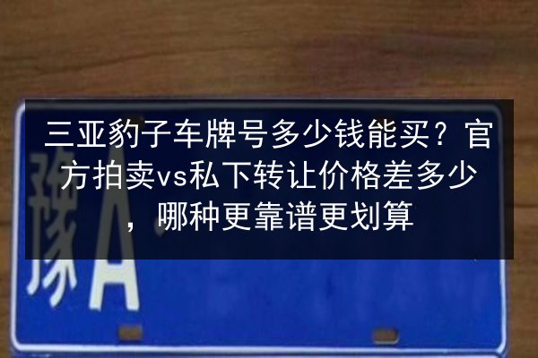 三亚豹子车牌号多少钱能买?官方拍卖vs私下转让价格差多少,哪种更靠谱更划算 第3张 三亚豹子车牌号多少钱能买?官方拍卖vs私下转让价格差多少,哪种更靠谱更划算 第3张