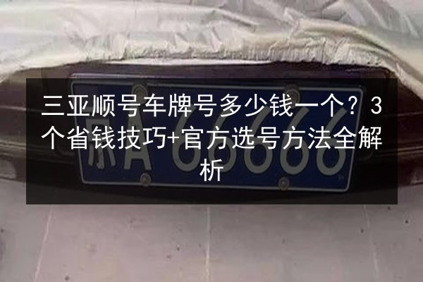 三亚顺号车牌号多少钱一个？3个省钱技巧+官方选号方法全解析 第2张