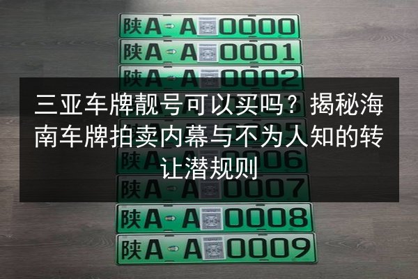 三亚车牌靓号可以买吗?揭秘海南车牌拍卖内幕与不为人知的转让潜规则 第2张 三亚车牌靓号可以买吗?揭秘海南车牌拍卖内幕与不为人知的转让潜规则 第2张