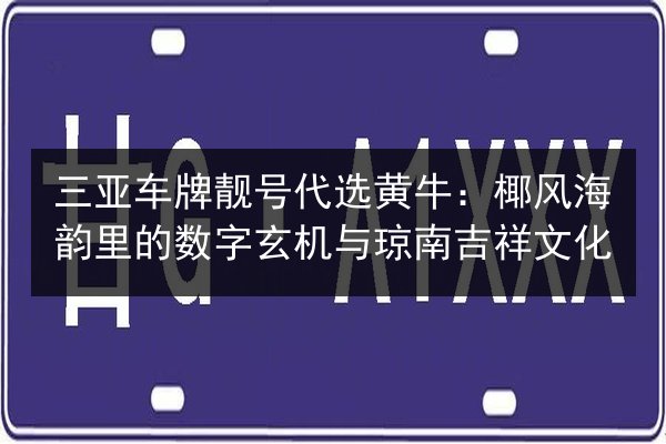 三亚车牌靓号代选黄牛:椰风海韵里的数字玄机与琼南吉祥文化 第2张 三亚车牌靓号代选黄牛:椰风海韵里的数字玄机与琼南吉祥文化 第2张