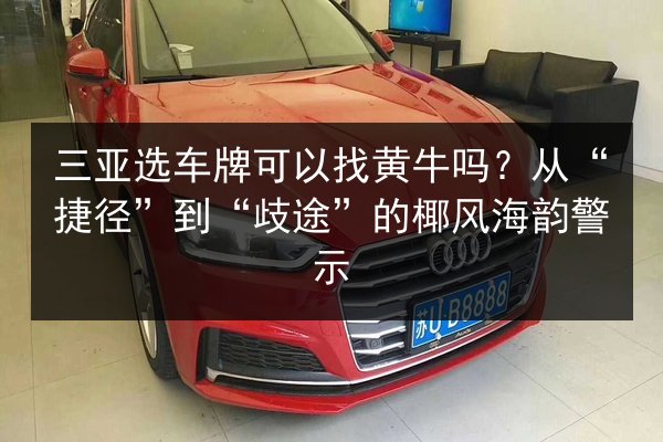 三亚选车牌可以找黄牛吗？从“捷径”到“歧途”的椰风海韵警示 第1张