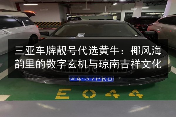 三亚车牌靓号代选黄牛:椰风海韵里的数字玄机与琼南吉祥文化 第3张 三亚车牌靓号代选黄牛:椰风海韵里的数字玄机与琼南吉祥文化 第3张