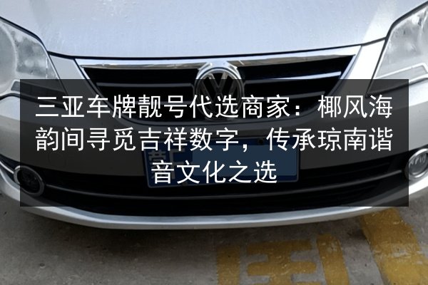 三亚车牌靓号代选商家:椰风海韵间寻觅吉祥数字,传承琼南谐音文化之选 第3张 三亚车牌靓号代选商家:椰风海韵间寻觅吉祥数字,传承琼南谐音文化之选 第3张