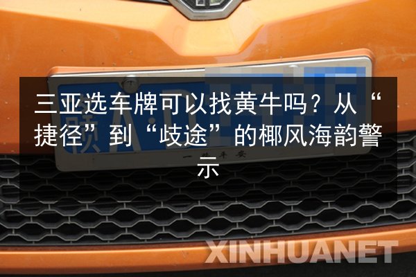 三亚选车牌可以找黄牛吗？从“捷径”到“歧途”的椰风海韵警示 第2张