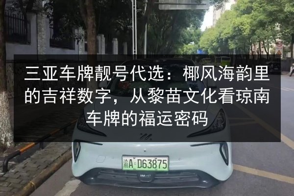 三亚车牌靓号代选：椰风海韵里的吉祥数字，从黎苗文化看琼南车牌的福运密码 第2张