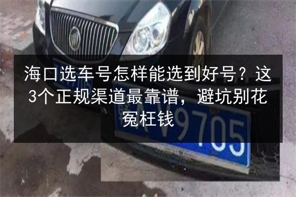 海口选车号怎样能选到好号？这3个正规渠道最靠谱，避坑别花冤枉钱 第2张