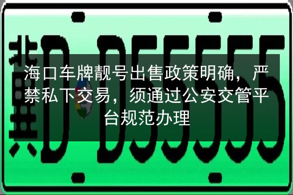 海口车牌靓号出售政策明确，严禁私下交易，须通过公安交管平台规范办理