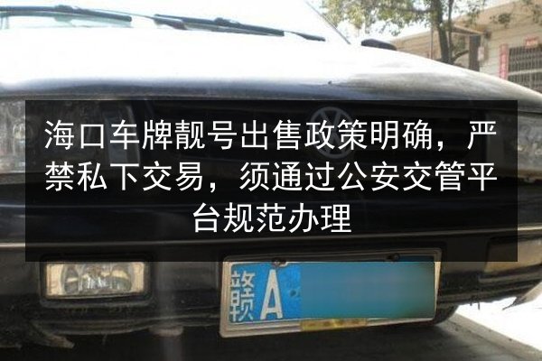 海口车牌靓号出售政策明确，严禁私下交易，须通过公安交管平台规范办理 第2张