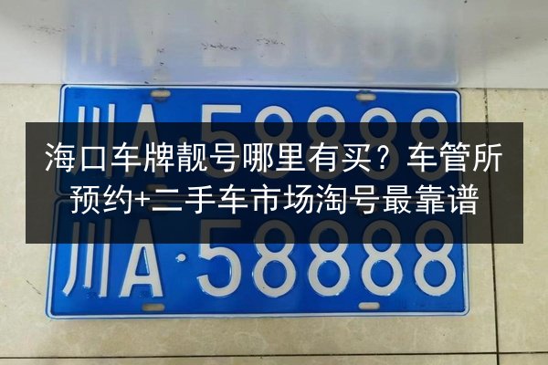 海口车牌靓号哪里有买？车管所预约+二手车市场淘号最靠谱 第2张