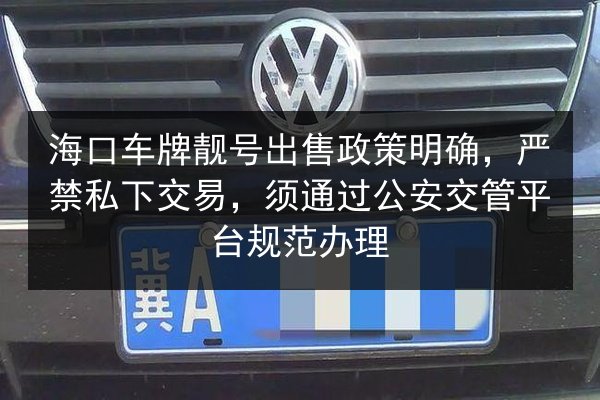 海口车牌靓号出售政策明确，严禁私下交易，须通过公安交管平台规范办理 第3张