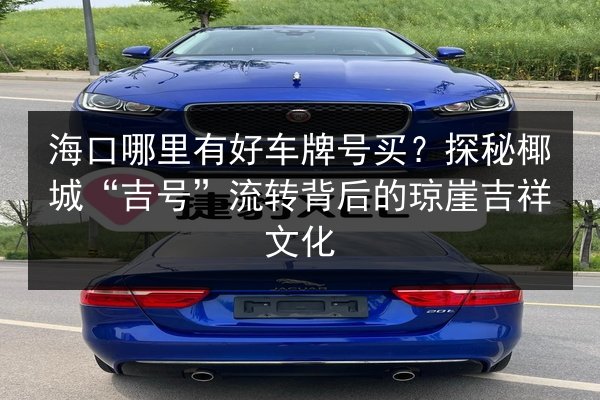 海口哪里有好车牌号买？探秘椰城“吉号”流转背后的琼崖吉祥文化
