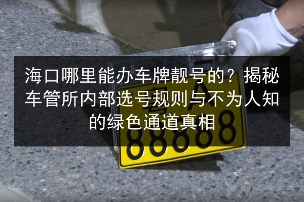 海口哪里能办车牌靓号的?揭秘车管所内部选号规则与不为人知的绿色通道真相 第2张 海口哪里能办车牌靓号的?揭秘车管所内部选号规则与不为人知的绿色通道真相 第2张