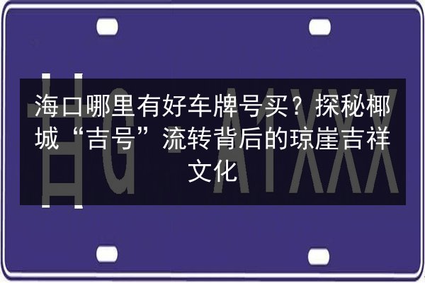 海口哪里有好车牌号买？探秘椰城“吉号”流转背后的琼崖吉祥文化 第2张
