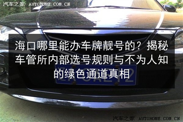 海口哪里能办车牌靓号的?揭秘车管所内部选号规则与不为人知的绿色通道真相 第3张 海口哪里能办车牌靓号的?揭秘车管所内部选号规则与不为人知的绿色通道真相 第3张
