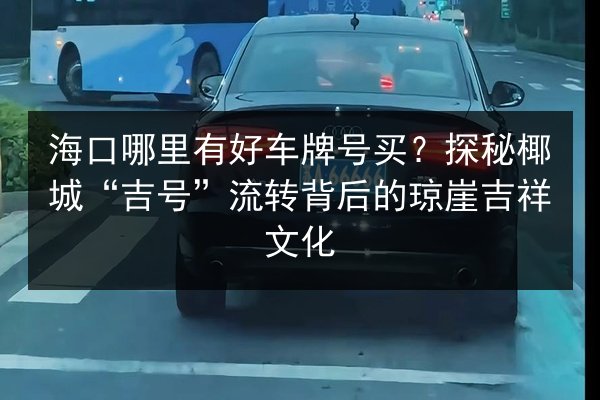 海口哪里有好车牌号买？探秘椰城“吉号”流转背后的琼崖吉祥文化 第3张