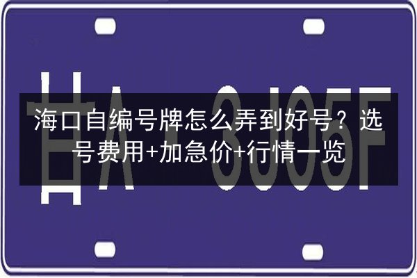 海口自编号牌怎么弄到好号？选号费用+加急价+行情一览 第2张