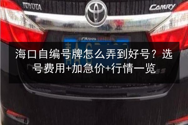 海口自编号牌怎么弄到好号？选号费用+加急价+行情一览 第3张