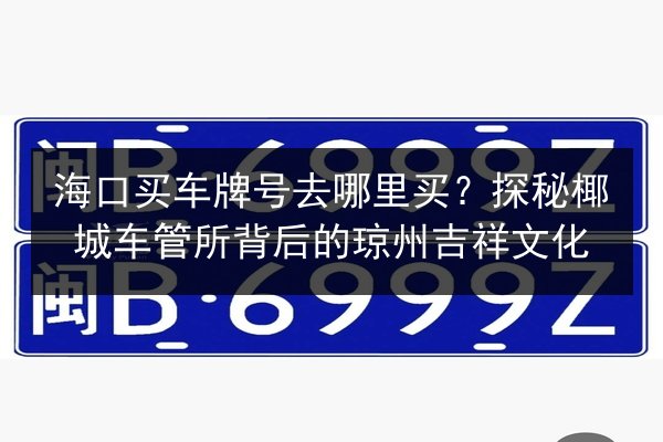 海口买车牌号去哪里买？探秘椰城车管所背后的琼州吉祥文化 第2张
